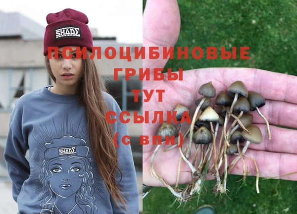 каннабис Лабытнанги