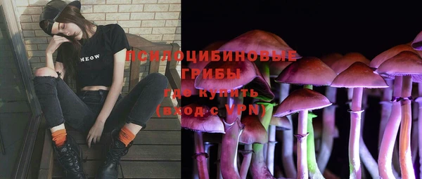 соль ск Лиски