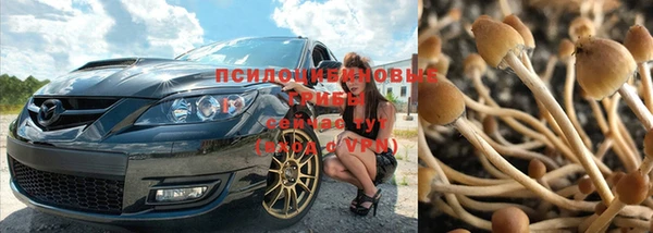 каннабис Лабытнанги