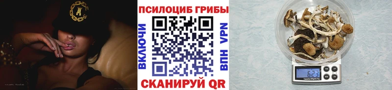 Псилоцибиновые грибы MAGIC MUSHROOMS Новосиль