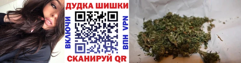 Шишки марихуана SATIVA & INDICA  цены   Новосиль 